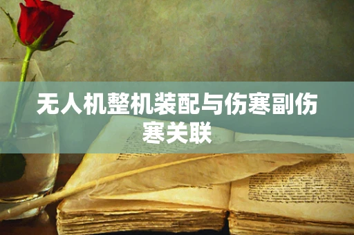 无人机整机装配与伤寒副伤寒关联