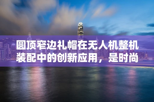 圆顶窄边礼帽在无人机整机装配中的创新应用，是时尚还是技术？