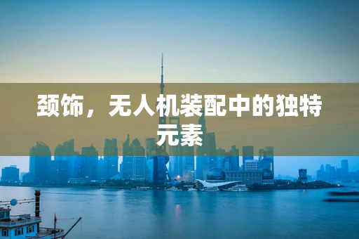 颈饰，无人机装配中的独特元素