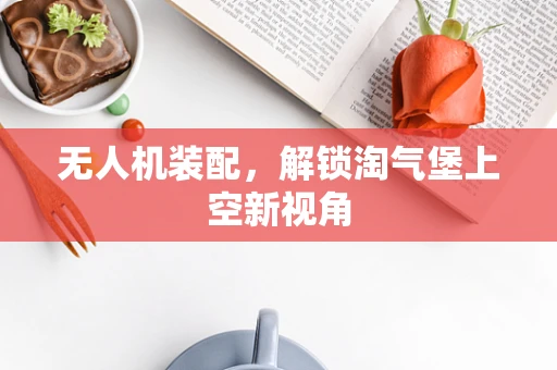 无人机装配，解锁淘气堡上空新视角