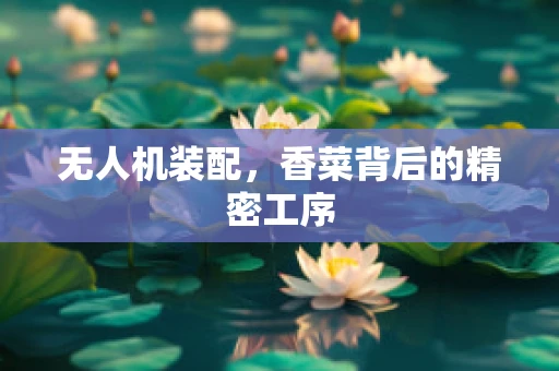 无人机装配，香菜背后的精密工序