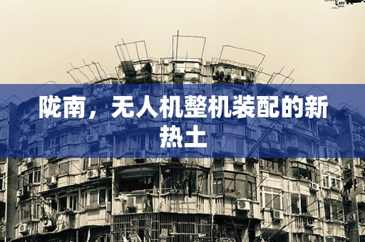 陇南，无人机整机装配的新热土