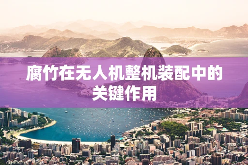 腐竹在无人机整机装配中的关键作用