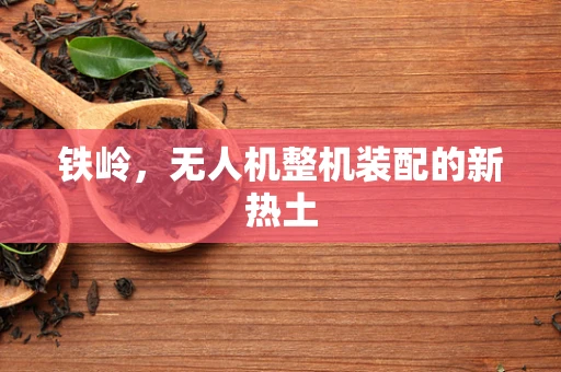 铁岭，无人机整机装配的新热土