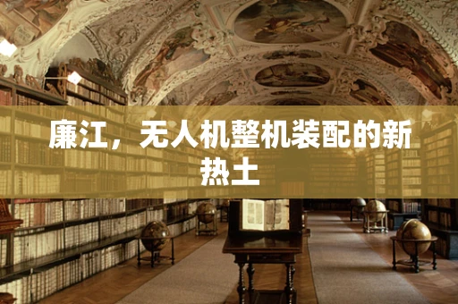 廉江，无人机整机装配的新热土