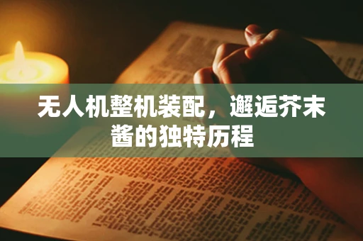 无人机整机装配，邂逅芥末酱的独特历程