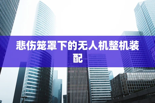 悲伤笼罩下的无人机整机装配