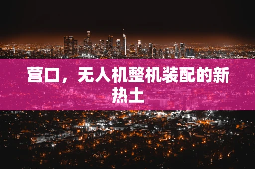 营口，无人机整机装配的新热土