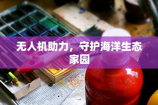无人机助力，守护海洋生态家园