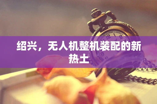 绍兴，无人机整机装配的新热土