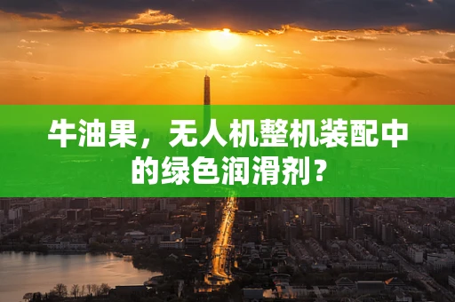 牛油果，无人机整机装配中的绿色润滑剂？