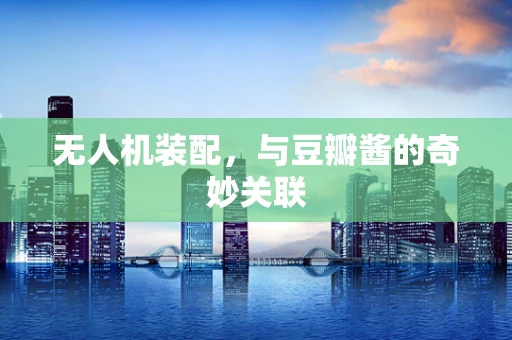 无人机装配，与豆瓣酱的奇妙关联