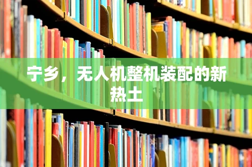 宁乡，无人机整机装配的新热土