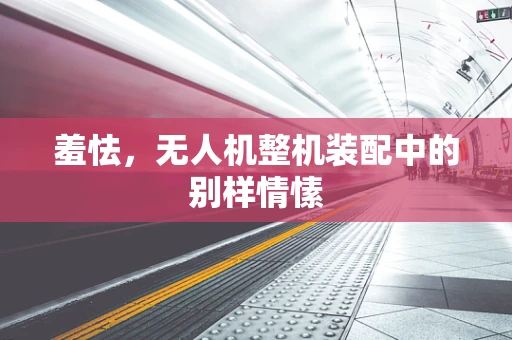 羞怯，无人机整机装配中的别样情愫