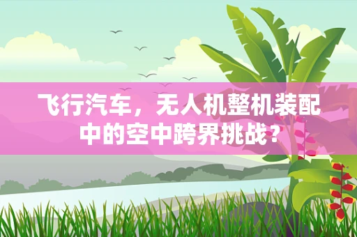 飞行汽车，无人机整机装配中的空中跨界挑战？