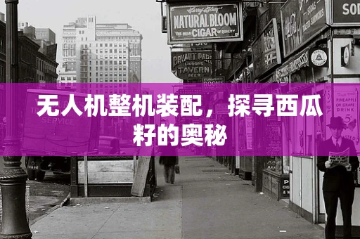 无人机整机装配，探寻西瓜籽的奥秘