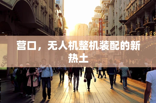 营口，无人机整机装配的新热土