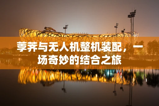 荸荠与无人机整机装配，一场奇妙的结合之旅