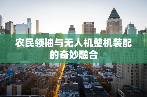 农民领袖与无人机整机装配的奇妙融合