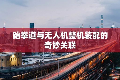 跆拳道与无人机整机装配的奇妙关联