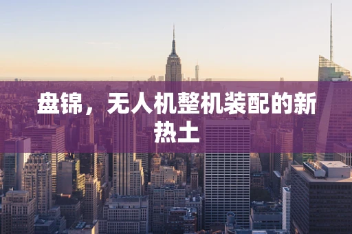 盘锦，无人机整机装配的新热土