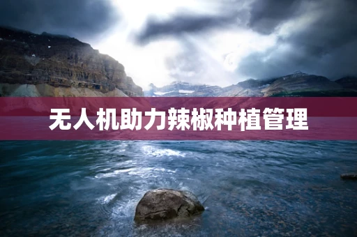 无人机助力辣椒种植管理