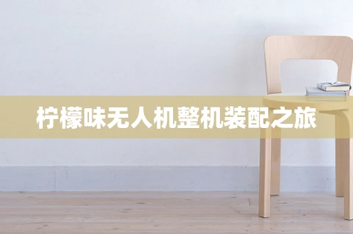 柠檬味无人机整机装配之旅