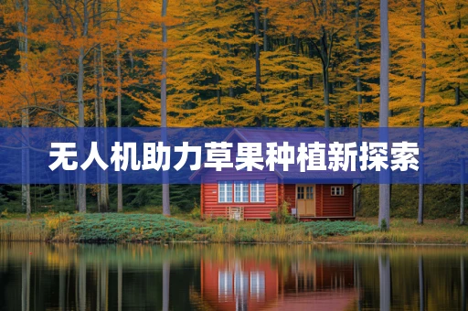 无人机助力草果种植新探索