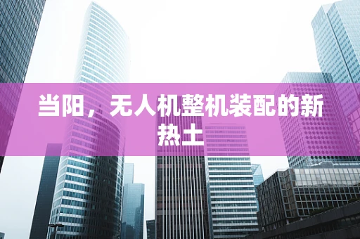 当阳，无人机整机装配的新热土