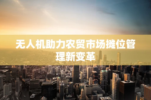 无人机助力农贸市场摊位管理新变革