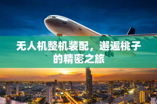 无人机整机装配，邂逅桃子的精密之旅