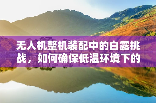无人机整机装配中的白露挑战，如何确保低温环境下的性能稳定？