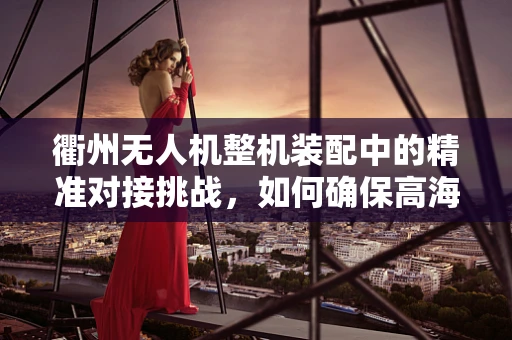 衢州无人机整机装配中的精准对接挑战，如何确保高海拔飞行下的部件无缝衔接？