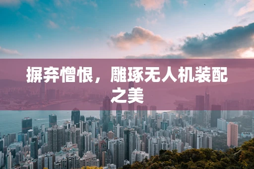 摒弃憎恨，雕琢无人机装配之美