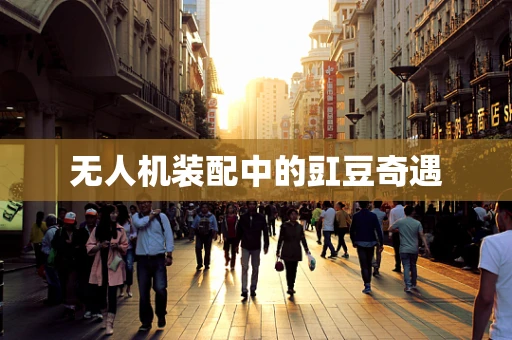 无人机装配中的豇豆奇遇