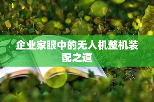 企业家眼中的无人机整机装配之道