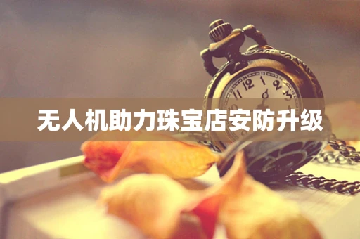 无人机助力珠宝店安防升级