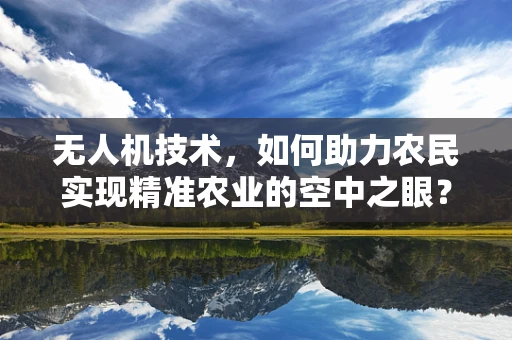 无人机技术，如何助力农民实现精准农业的空中之眼？