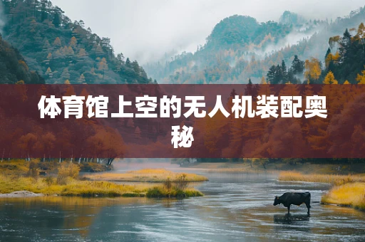 体育馆上空的无人机装配奥秘