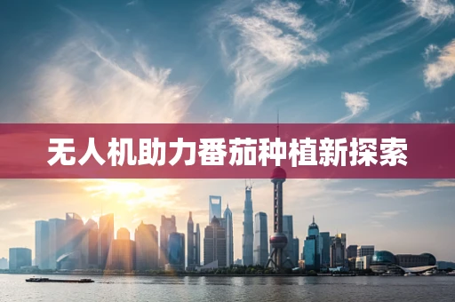 无人机助力番茄种植新探索