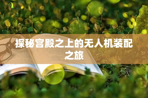 探秘宫殿之上的无人机装配之旅