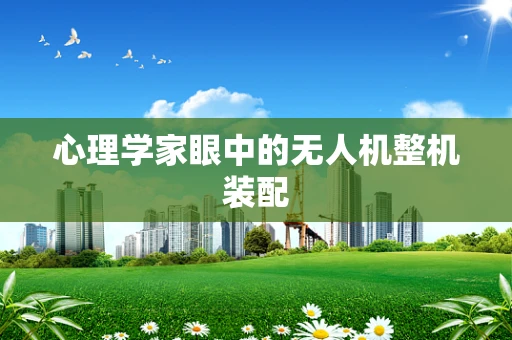 心理学家眼中的无人机整机装配