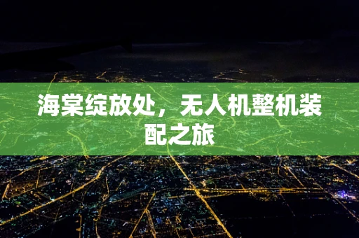 海棠绽放处，无人机整机装配之旅