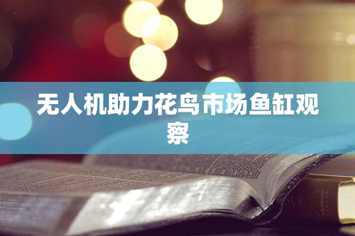 无人机助力花鸟市场鱼缸观察