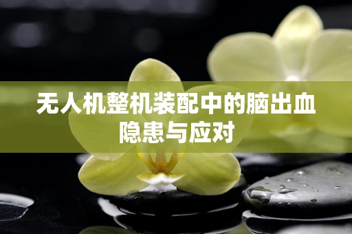 无人机整机装配中的脑出血隐患与应对