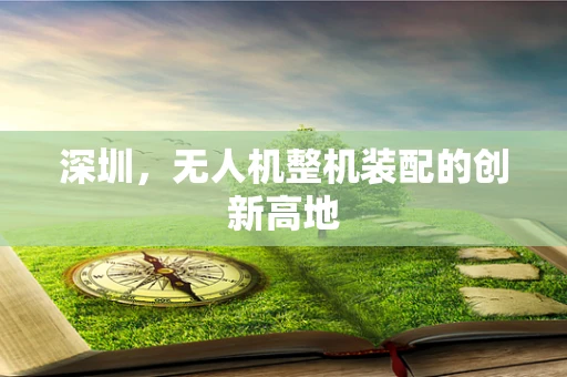 深圳，无人机整机装配的创新高地
