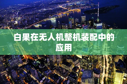 白果在无人机整机装配中的应用