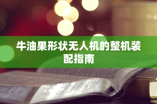 牛油果形状无人机的整机装配指南
