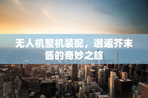 无人机整机装配，邂逅芥末酱的奇妙之旅