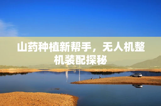山药种植新帮手，无人机整机装配探秘